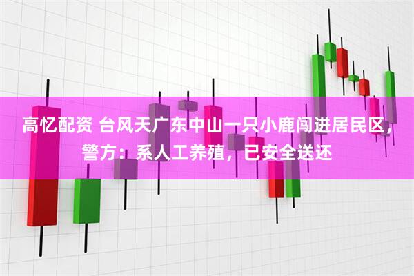高忆配资 台风天广东中山一只小鹿闯进居民区，警方：系人工养殖，已安全送还
