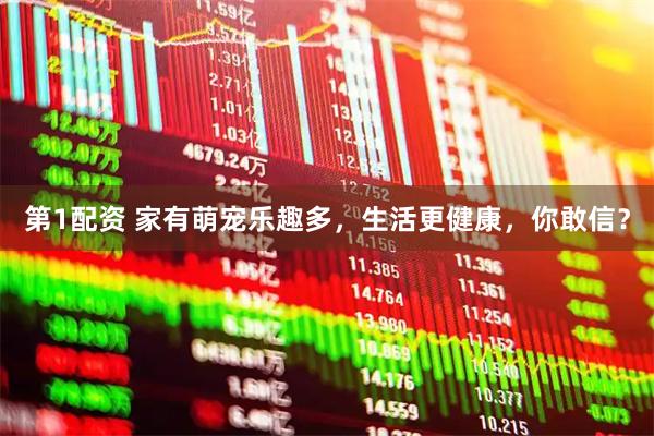 第1配资 家有萌宠乐趣多，生活更健康，你敢信？