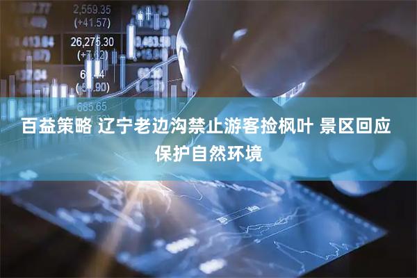 百益策略 辽宁老边沟禁止游客捡枫叶 景区回应 保护自然环境