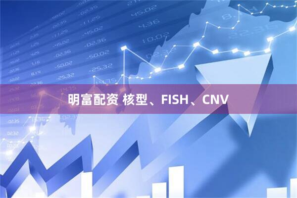 明富配资 核型、FISH、CNV