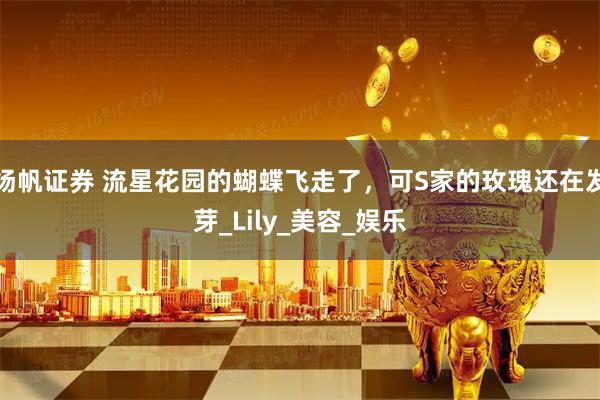 扬帆证券 流星花园的蝴蝶飞走了,可S家的玫瑰还在发芽_Lily_美容_娱乐